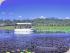 Jabiru Safari Lodge - 