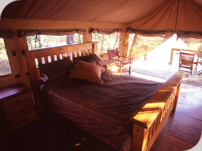 Jabiru Safari Lodge - 