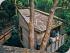 Hinchinbrook Is Resort - 