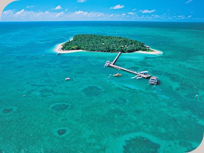 Big Cat Green Island Trip - 