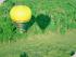 Raging Thunder Ballooning - 