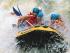 Barron Rafting RagingThunder - New Image