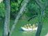 Barron Rafting RagingThunder - New Image