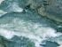 Barron Rafting RagingThunder - New Image