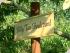 Billy Tea Bush Safaris -
