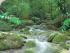 2 Day Package - Option 9 - Flowing Creeks