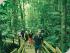 2 Day Package - Option 9 - Guided Boardwalks