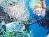 Quicksilver -