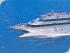 Fly & Cruise Reef Trip -