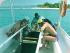 Wavedancer Low Isles - Glass Bottom Boat tour
