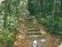 Cape Trib Connections -