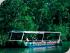 Overnight Cape Trib Safari - 