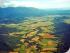Fine Feather Tours -