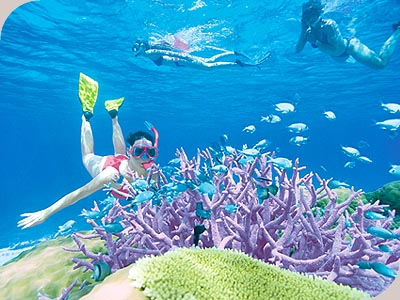 Poseidon Cruises - 