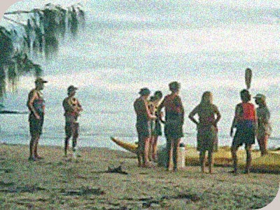 Snapper Is. Sea Kayaks - 