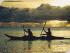 Snapper Is. Sea Kayaks -