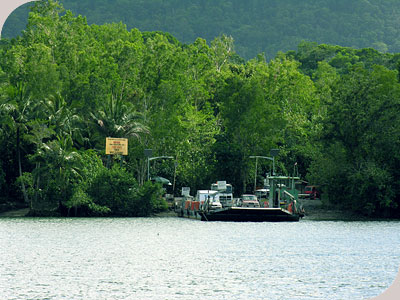 Cooktown Wanderer - 