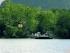 Cooktown Wanderer - 