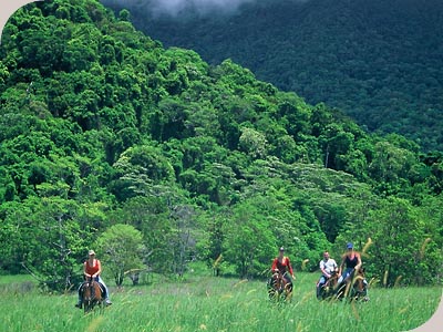 Cape Trib Horse Rides - 