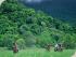 Cape Trib Horse Rides -