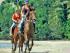 Cape Trib Horse Rides -