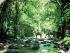 Cape Trib Horse Rides -