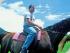 Cape Trib Horse Rides -