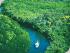 Mangrove Croc Cruise -
