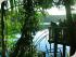 Uncle Brians -