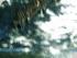 Uncle Brians -