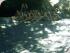 Uncle Brians -