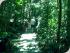 Uncle Brians -