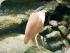River Rat Eco Cruise - 