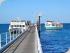 Quick Cat Cruises -
