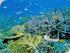 Quick Cat Cruises -