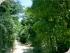 Cooktown Drive-Fly -