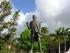 Cooktown Drive-Fly -