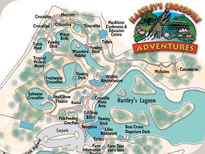 Crocodile Adventure - 