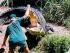 Crocodile Adventure -