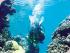 Great Adventures - 