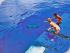 Reef Encounter -