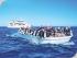Reef Encounter -
