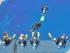 Reef Encounter -
