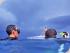 Reef Encounter -
