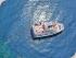 Reef Encounter -