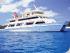 Reef Encounter -