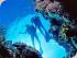 Reef Quest -