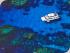 Reef Quest -