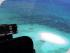 Down Under Heli -