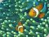 Sunlover Reef Cruises -